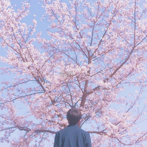 国产精品久久人妻无码网站
